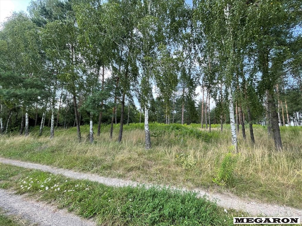 Sprzedam działkę 1216 m² w Wancerzowie z szerokim frontem Wancerzów  1 216m2 Foto 1