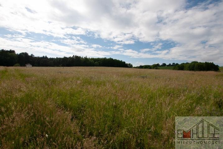 Działka budowlana na sprzedaż Wilczyn  1 000m2 Foto 11