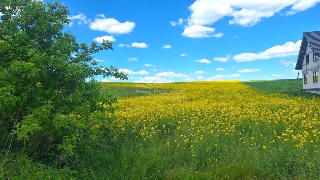 Działka budowlana na sprzedaż Krynice  1 524m2 Foto 9