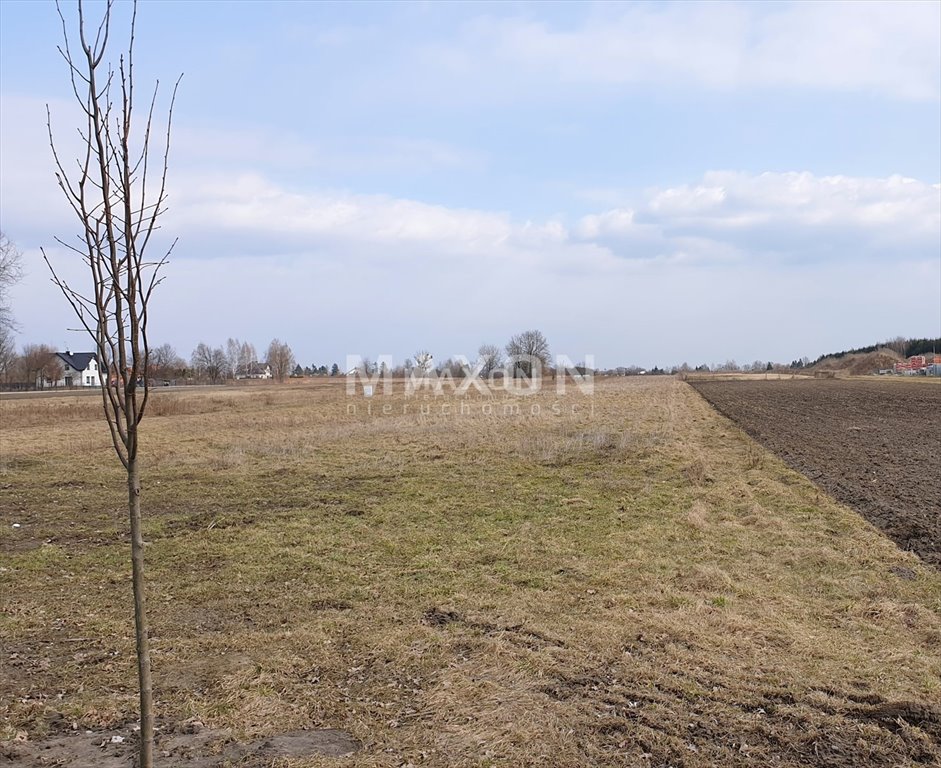 Działka budowlana na sprzedaż Turowice  20 346m2 Foto 10