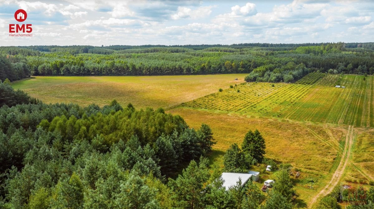 Dom na sprzedaż Plebanowo  83 800m2 Foto 20