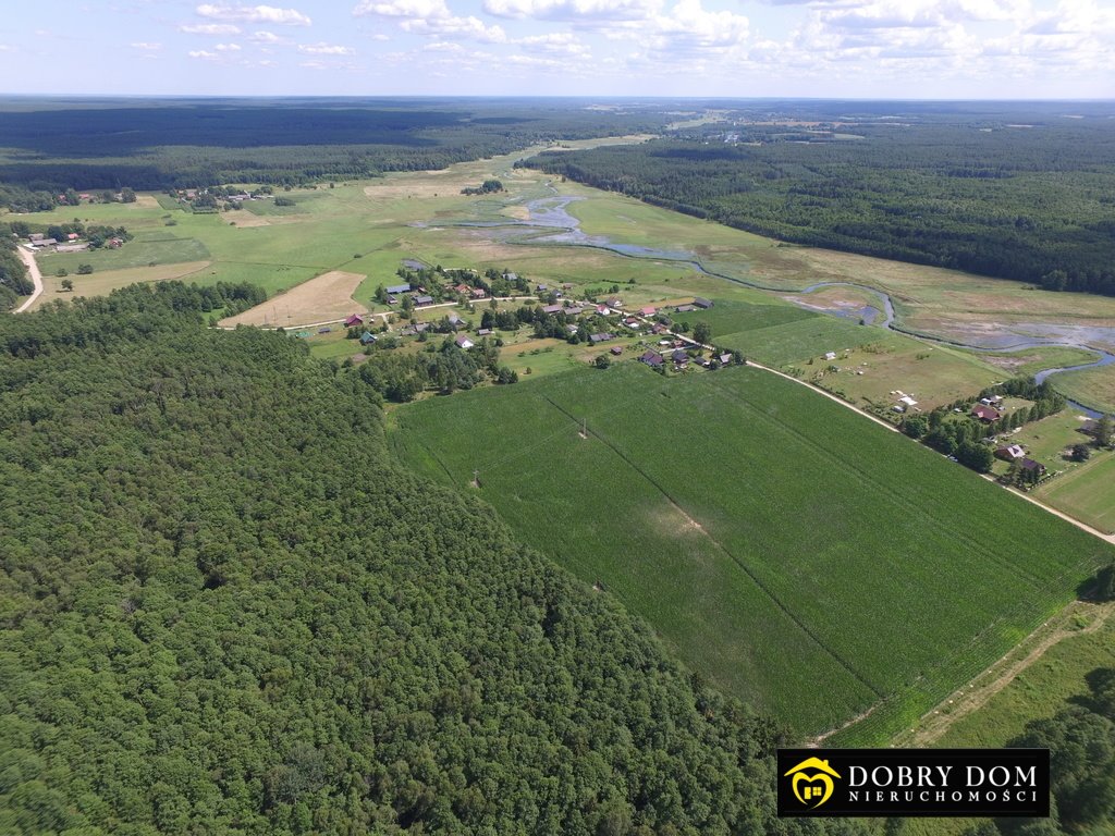 Działka budowlana na sprzedaż Borki  1 590m2 Foto 2