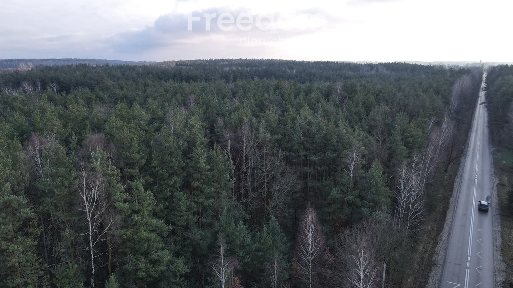 Działka budowlana na sprzedaż Izabelin  4 000m2 Foto 3