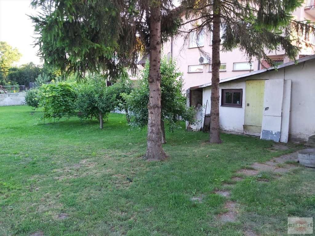Zdjęcie 6