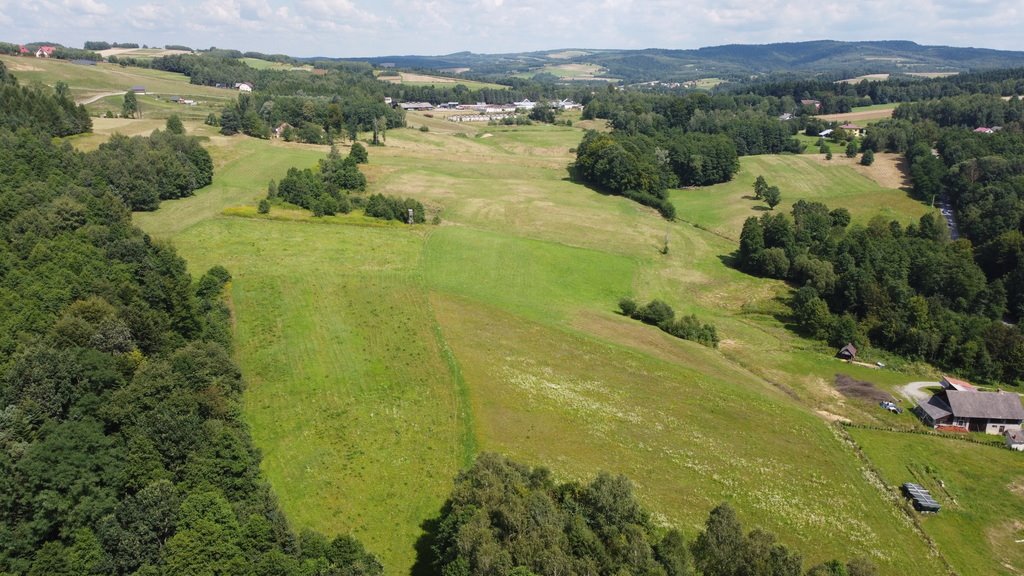 Działka budowlana na sprzedaż Lutcza  107 000m2 Foto 15