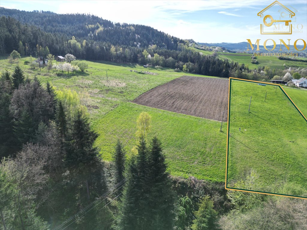 Działka rolna na sprzedaż Krasne Potockie  8 200m2 Foto 4