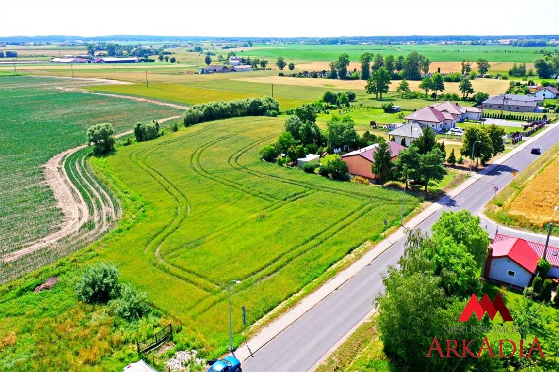 Działka rolna na sprzedaż Chełmica Duża  5 000m2 Foto 2