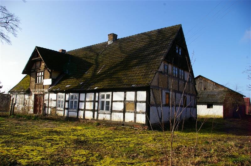 Zdjęcie 4