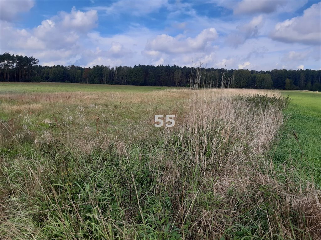 Działka rekreacyjna na sprzedaż Barycz  4 665m2 Foto 5