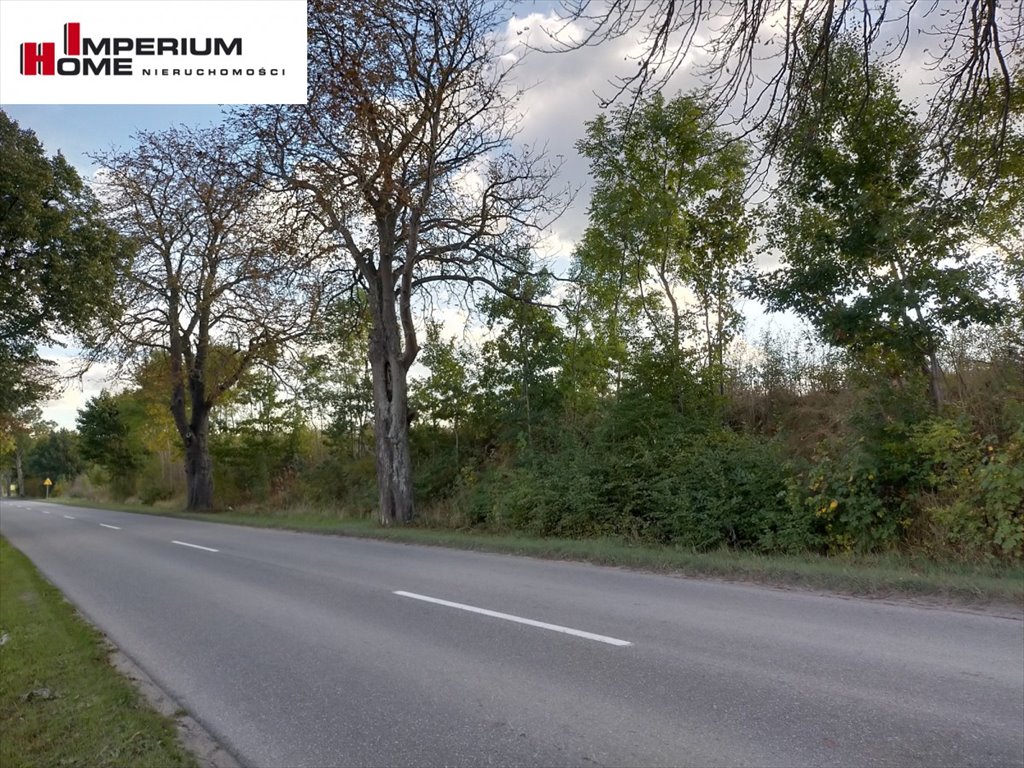 Działka inwestycyjna 21 035 m² w Kielnie, dostępne media. Kielno, Oliwska  21 035m2 Foto 1