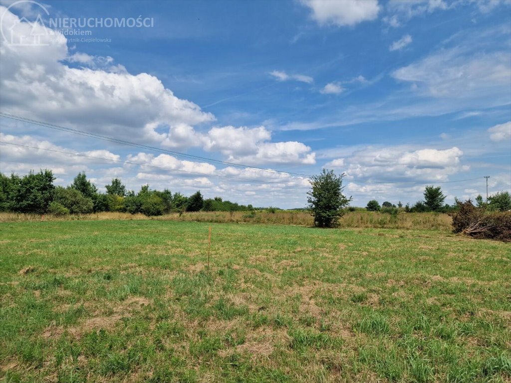 Działka budowlana na sprzedaż Krzeczów  1 100m2 Foto 2