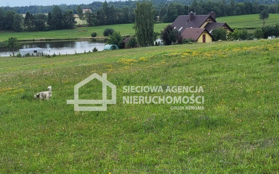 Działka budowlana na sprzedaż Skrzeszewo Żukowskie  1 820m2 Foto 1