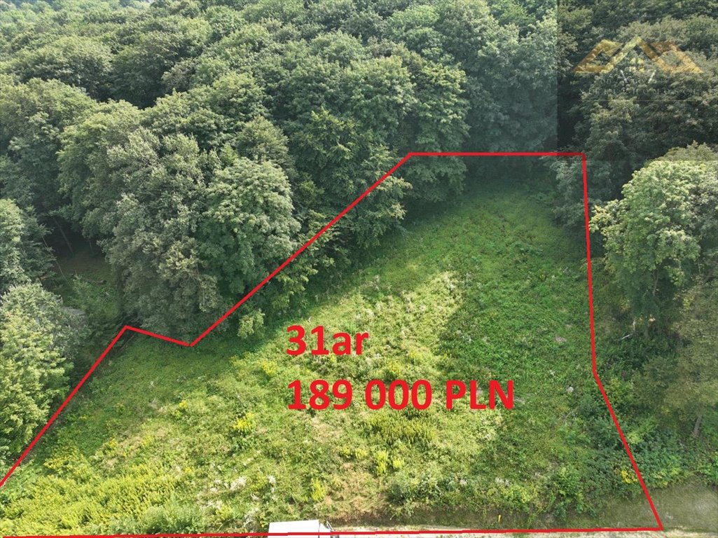 Działka budowlana na sprzedaż Pleśna  3 100m2 Foto 1