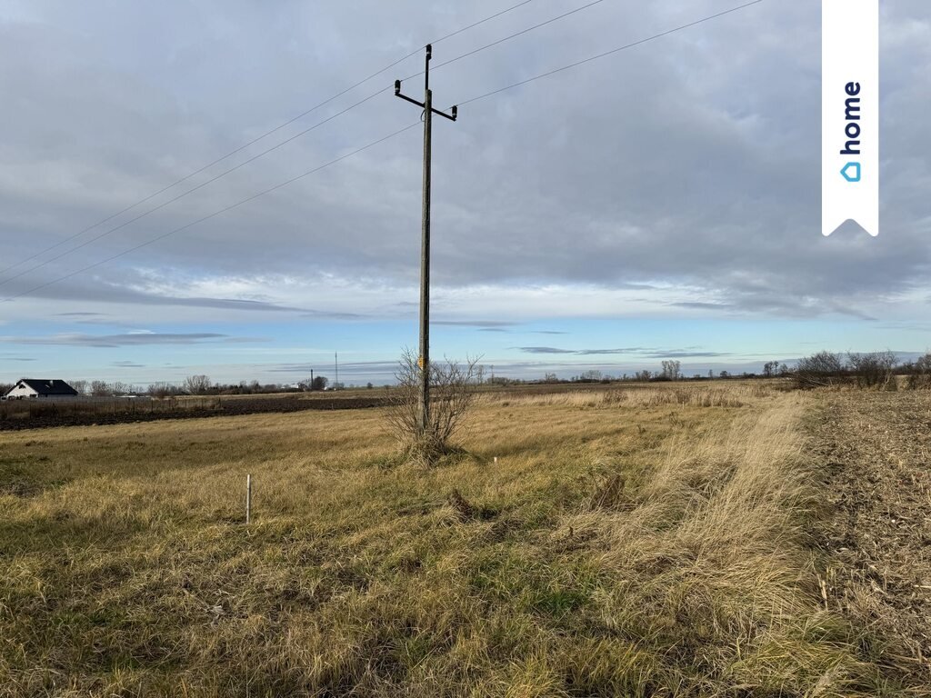 Działka budowlana na sprzedaż Wiązów, Marii Konopnickiej  1 573m2 Foto 3