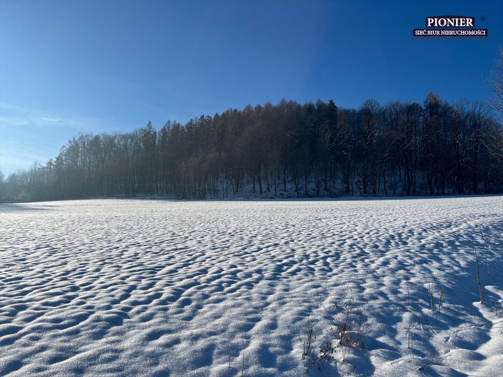 Działka budowlana na sprzedaż Ustroń  3 000m2 Foto 2