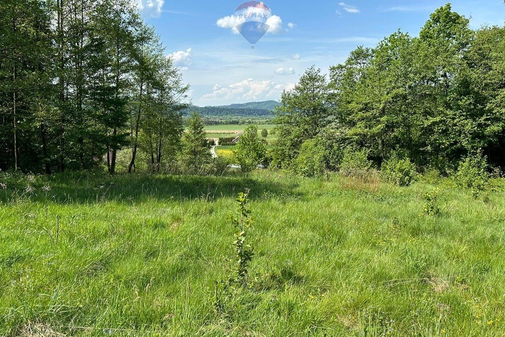 Działka budowlana na sprzedaż Roztoka-Brzeziny  822m2 Foto 1