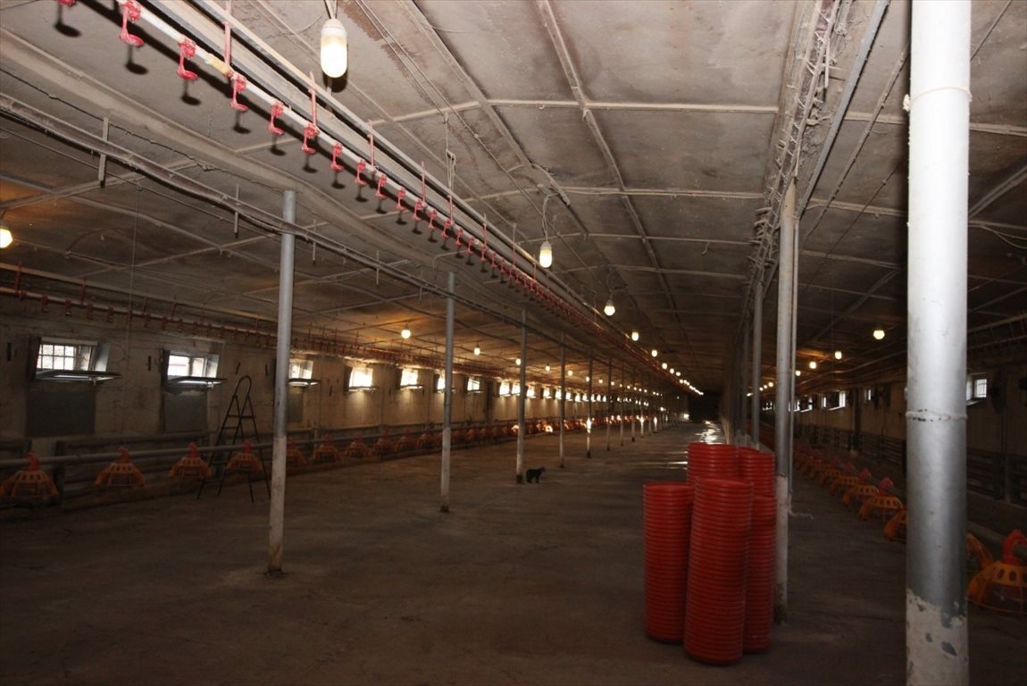 Lokal użytkowy na sprzedaż Dąbrowa Górnicza, Ujejsce, Władysława Broniewskiego 1 317m2 Foto 1 Lokal użytkowy na sprzedaż Dąbrowa Górnicza, Ujejsce, Władysława Broniewskiego 1 317m2 Foto 1