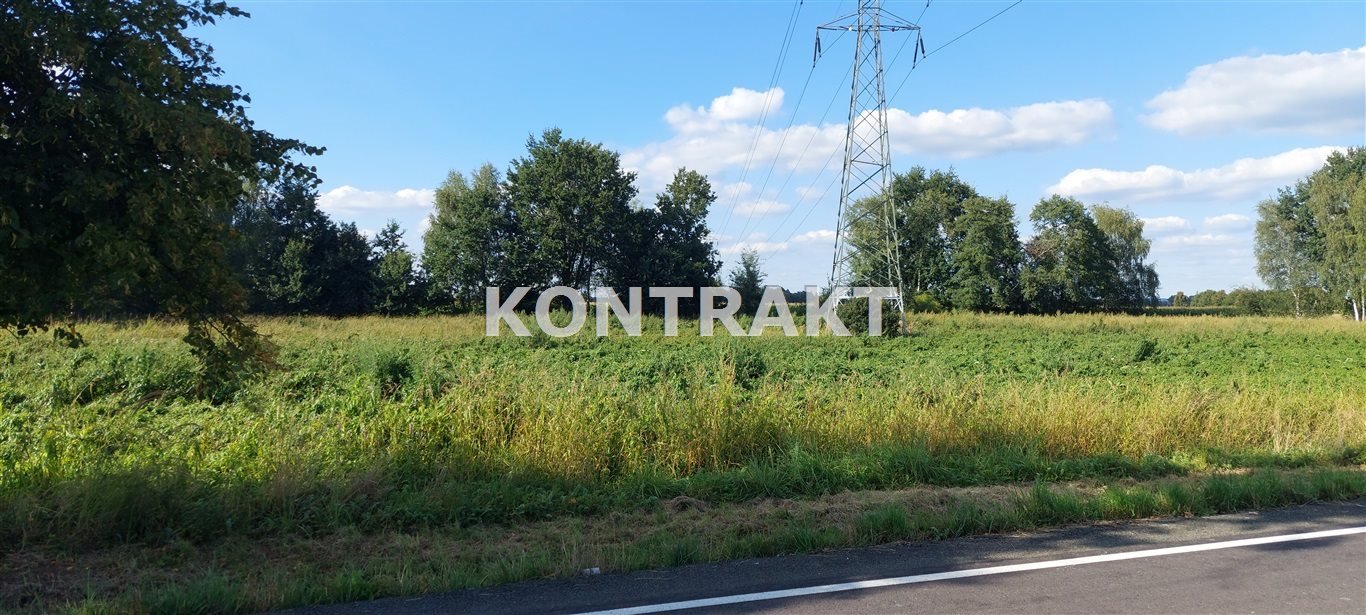 Działka budowlana na sprzedaż Oświęcim, Poręba Wielka, Grottgerówka  2 920m2 Foto 6