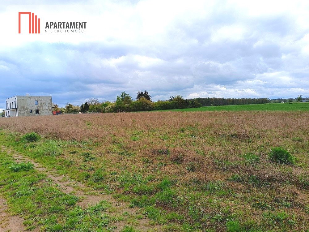 Działka budowlana na sprzedaż Tryszczyn, Leśna  1 022m2 Foto 3