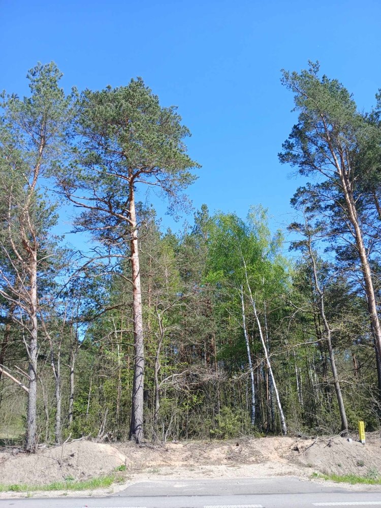 Działka budowlana na sprzedaż Myszyniec, Myszyniec  5 200m2 Foto 7