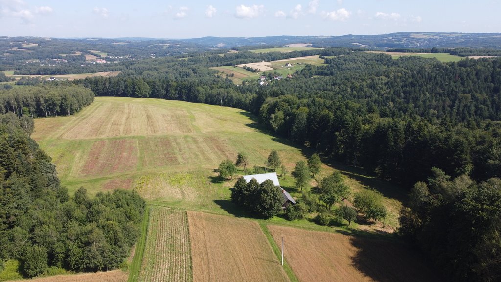 Działka budowlana na sprzedaż Lutcza  96 200m2 Foto 15