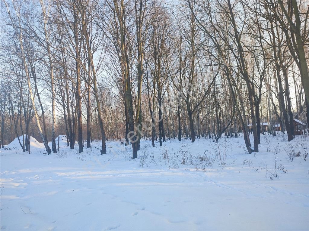 Działka 1720 m2 w Milanówku, cicha i zielona okolica Milanówek  1 720m2 Foto 1