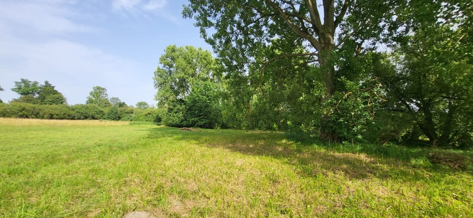 Działka inna na sprzedaż Strońsko  4 900m2 Foto 8