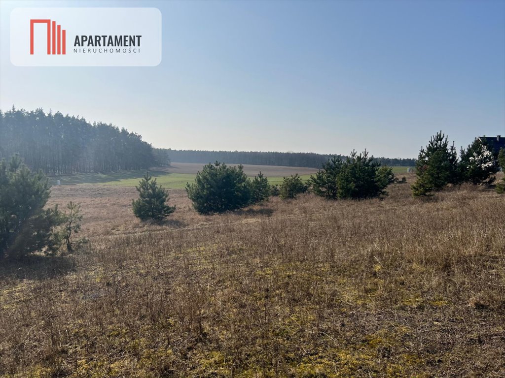 Działka budowlana 4900 m² w spokojnej okolicy z mediami Oporówek  4 900m2 Foto 1