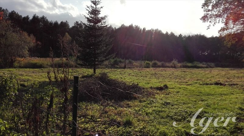 Działka inna na sprzedaż Droszków 3 000m2 Foto 1 Działka inna na sprzedaż Droszków 3 000m2 Foto 1
