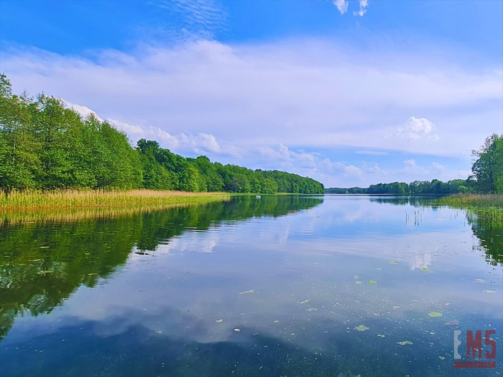 Działka inna na sprzedaż Morąg  2 925m2 Foto 2