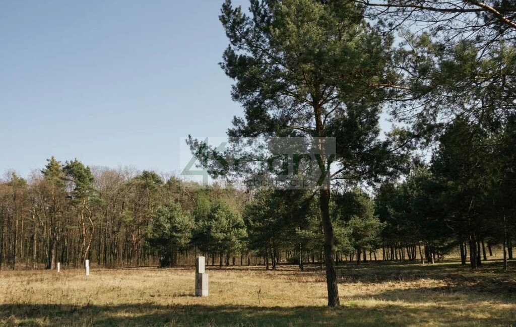 Działka 1914 m² przy Rezerwacie Jabłonna – spokój i natura Rajszew  1 914m2 Foto 1