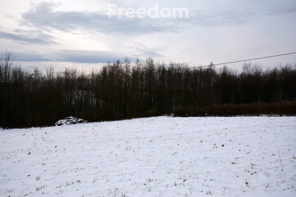 Działka budowlana na sprzedaż Wyźrał  3 004m2 Foto 6