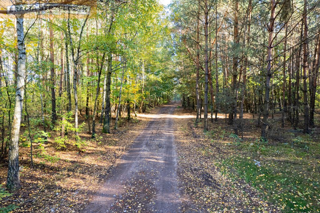 Działka budowlana na sprzedaż Gutarzewo  45 500m2 Foto 11