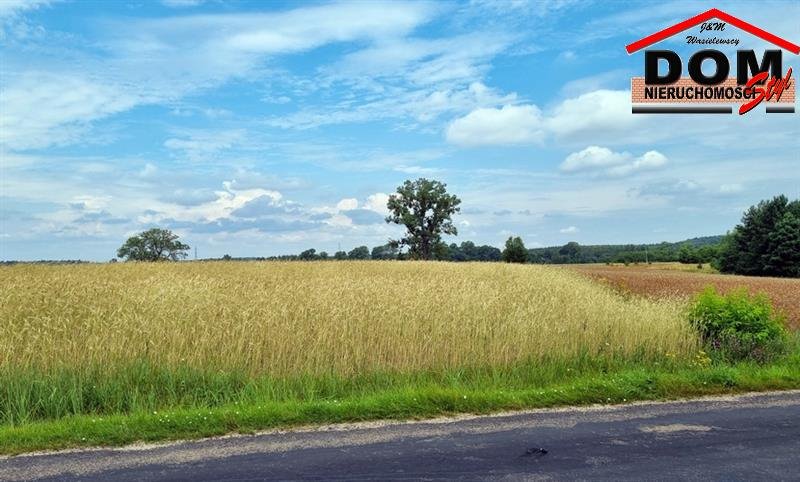 Działka budowlana na sprzedaż Stara Korytnica  13 800m2 Foto 1