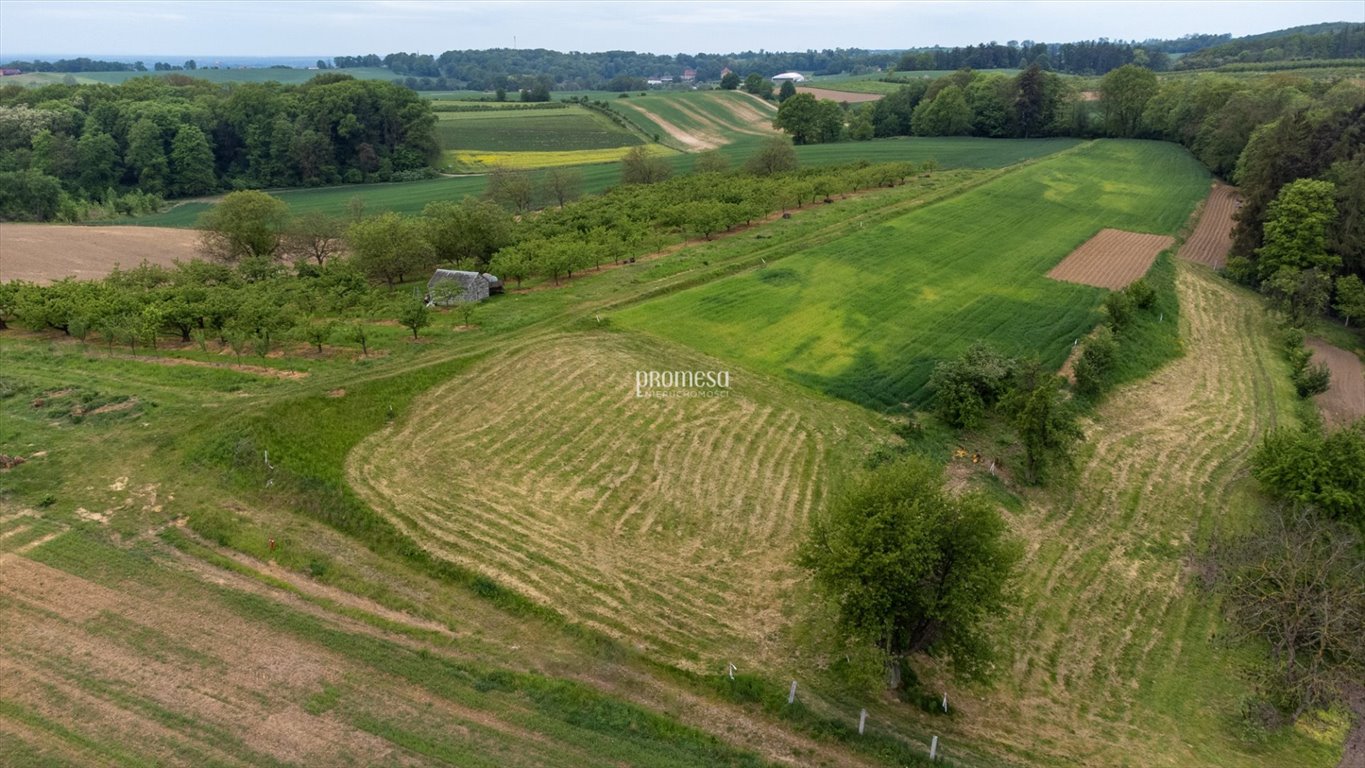 Działka inna na sprzedaż Taczów Wielki, Malinowa  1 176m2 Foto 3