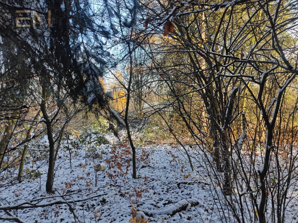 Działka budowlana na sprzedaż Babica  6 000m2 Foto 12