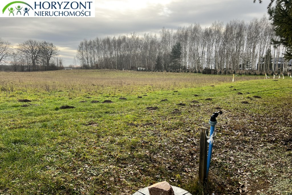 Polecam działkę 3300 m² z planem zagospodarowania w Lisewcu Lisewiec  3 300m2 Foto 1