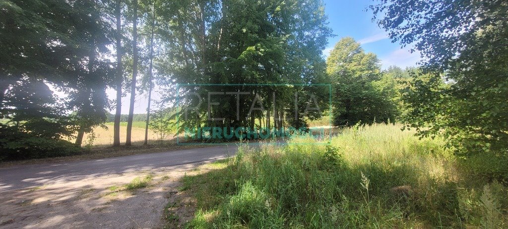 Działka budowlana na sprzedaż Puszcza Mariańska  3 000m2 Foto 1