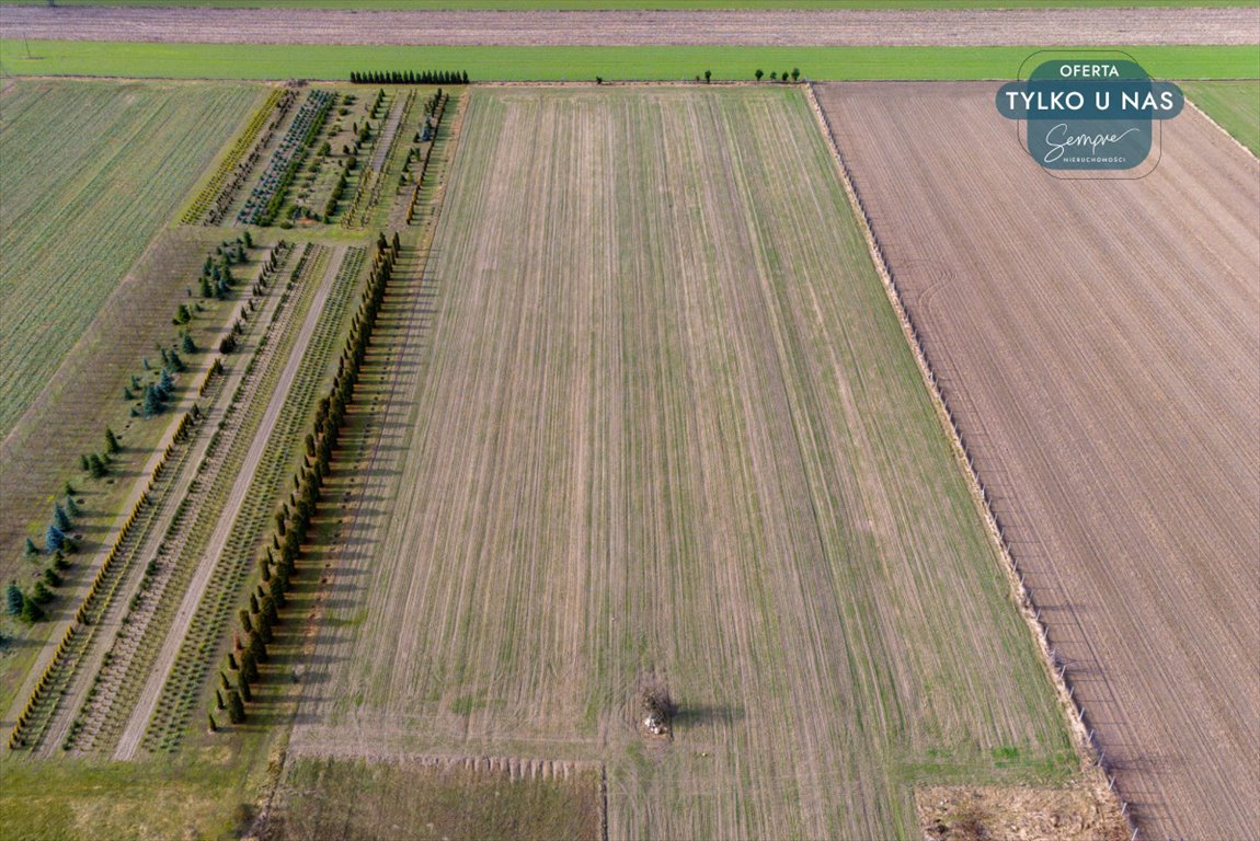 Działka budowlana na sprzedaż Paprotnia  1 000m2 Foto 8