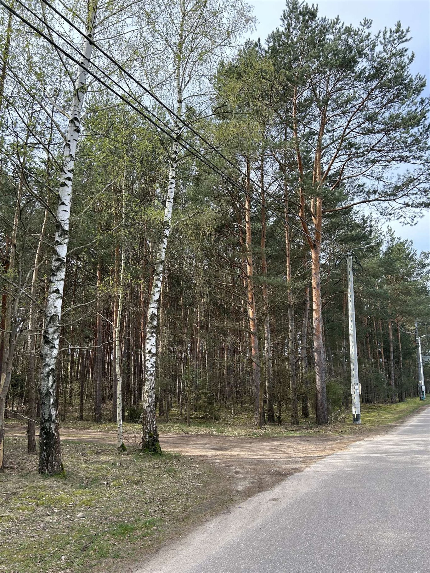 Działka budowlana na sprzedaż Dzbądz  1 885m2 Foto 6