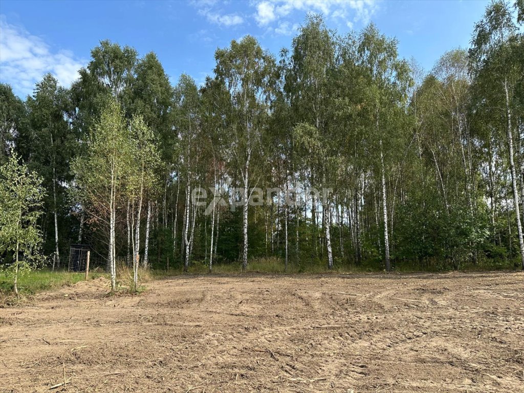 Działka budowlana na sprzedaż Wierzchowisko  1 417m2 Foto 1