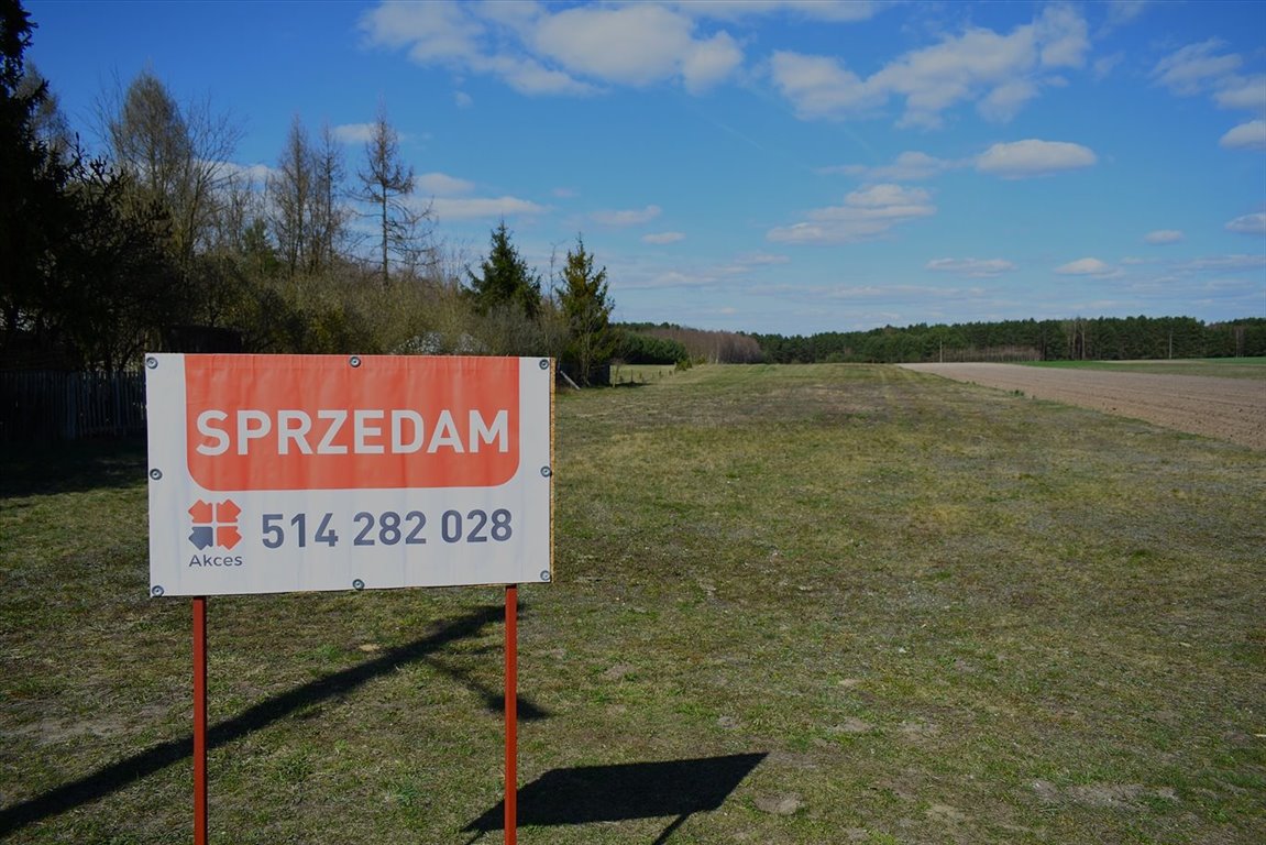 Działka inna na sprzedaż Maluszyn, Kąty  11 300m2 Foto 1