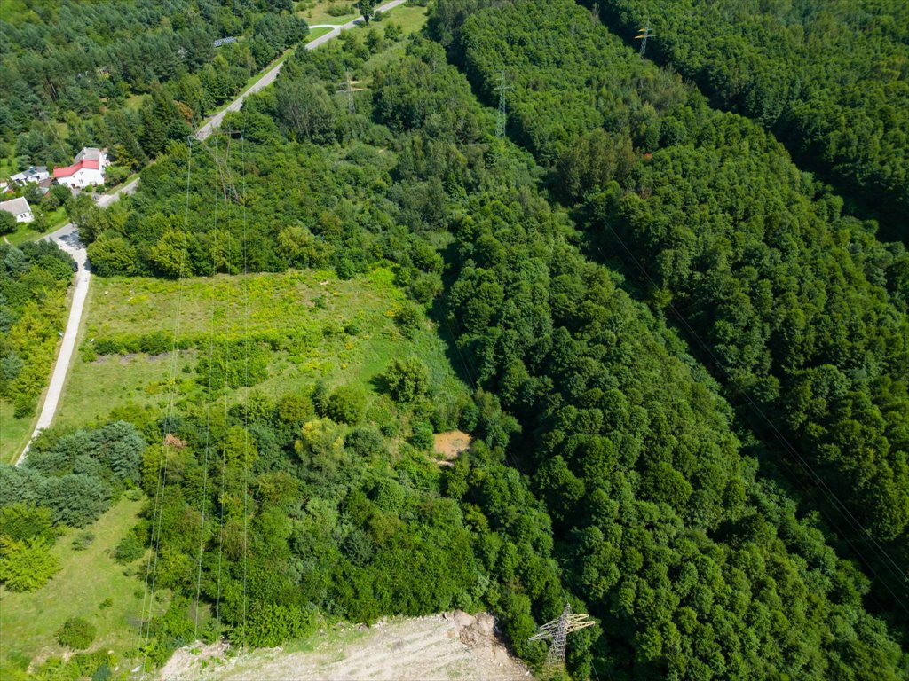 Działka rolna na sprzedaż Ostrowiec Świętokrzyski, Wschodnia  2 945m2 Foto 5