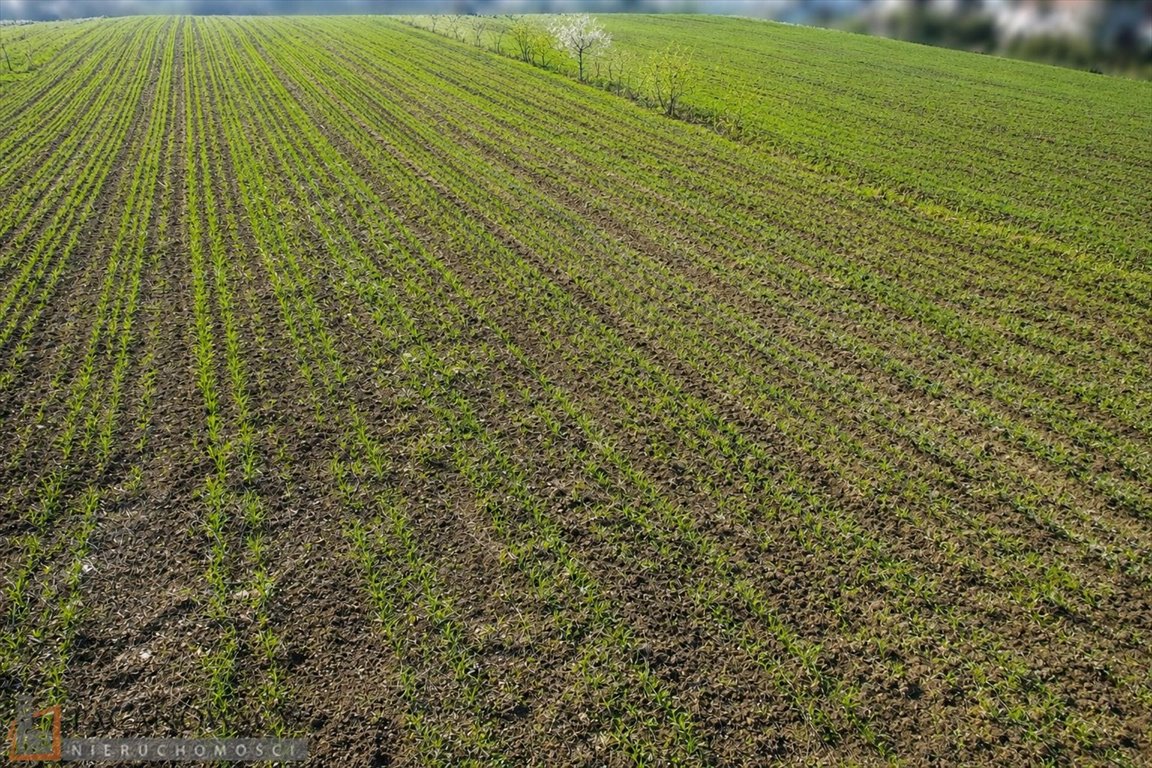 Na sprzedaż działka 9,01 ara w Krakowie z dostępem do mediów Kraków, Prądnik Biały, Tonie  901m2 Foto 1
