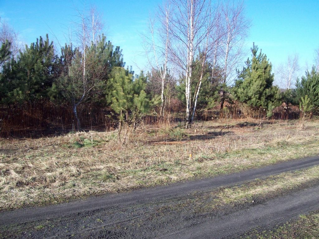 Zapraszam do obejrzenia działek budowlanych 800 m² w Miłoszycach Miłoszyce  800m2 Foto 1