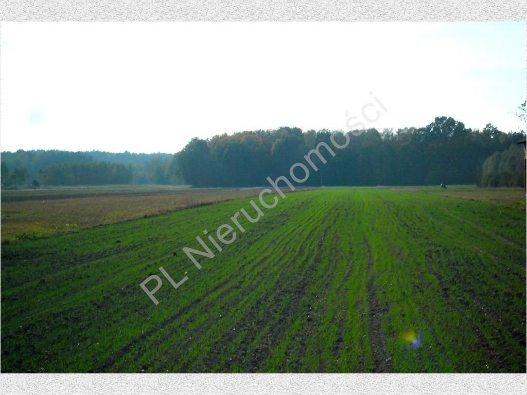Działka rolna na sprzedaż Nowe Zalesie  3 960m2 Foto 1
