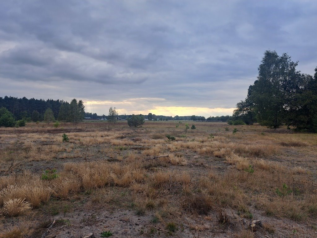 Działka rolna na sprzedaż Olszewka  3 000m2 Foto 12