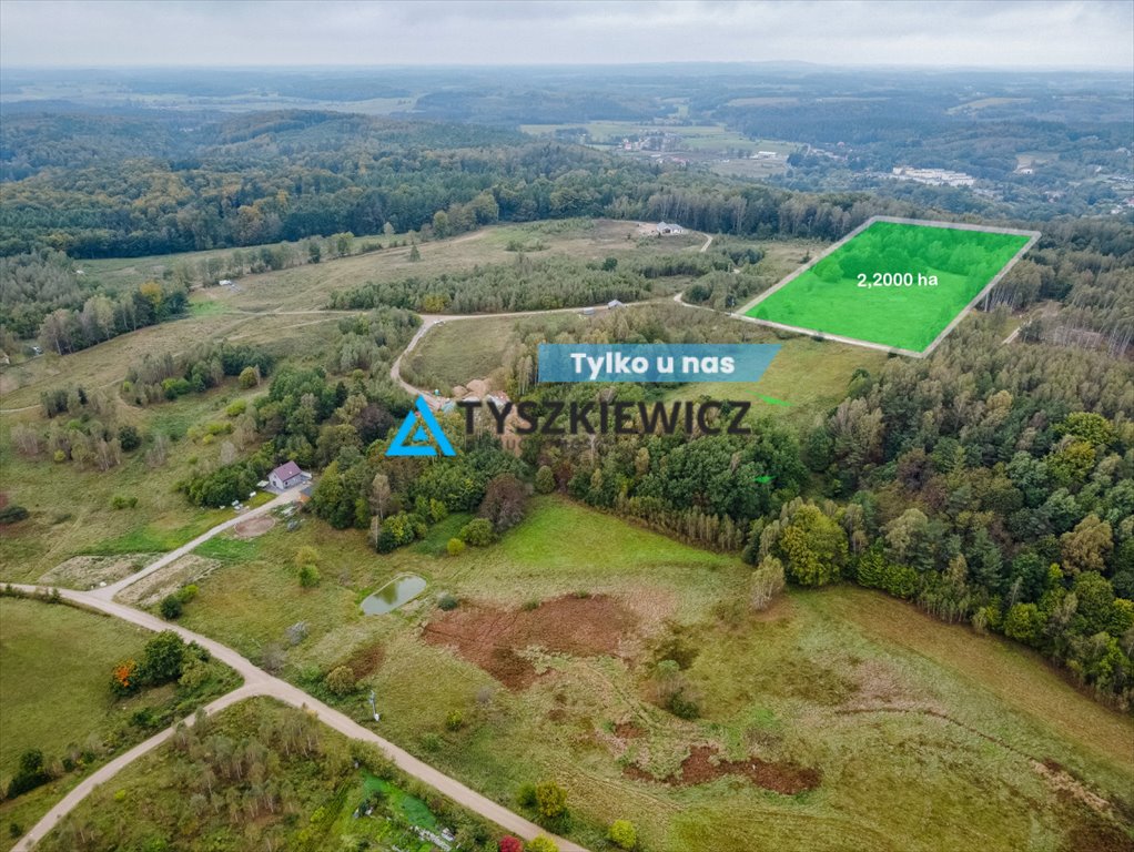 Działka budowlana na sprzedaż Przywidz, Gawronia  22 000m2 Foto 1