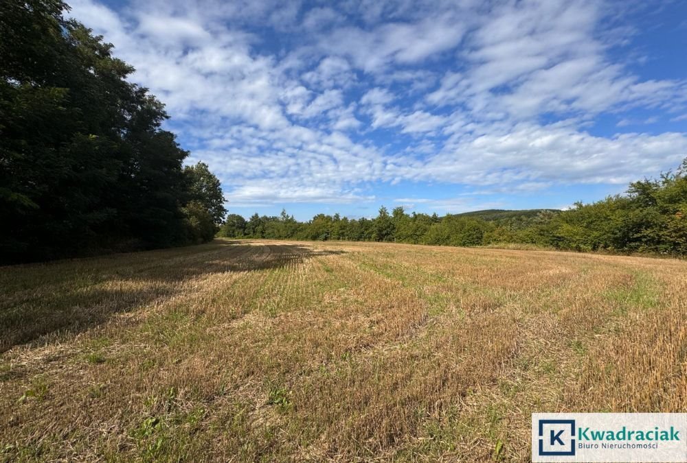 Działka rekreacyjna na sprzedaż Sieniawa, Nad Zalewem  8 977m2 Foto 10