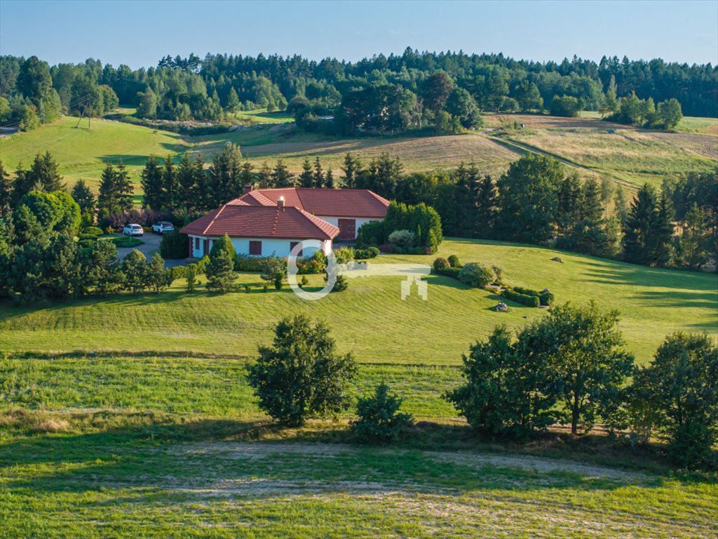 Działka rolna na sprzedaż Połęczyno  42 000m2 Foto 12